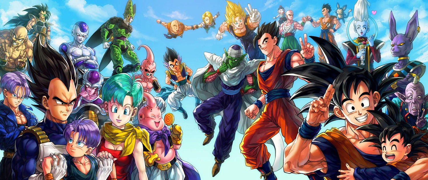 DragonBall OverSize Tee's